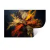 Specerijen - Explosie - Oranje Muursticker klein -3d