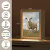 Schaap - Bloemen - Weide Light Box met kabel (Tafellamp) klein -USP_NL