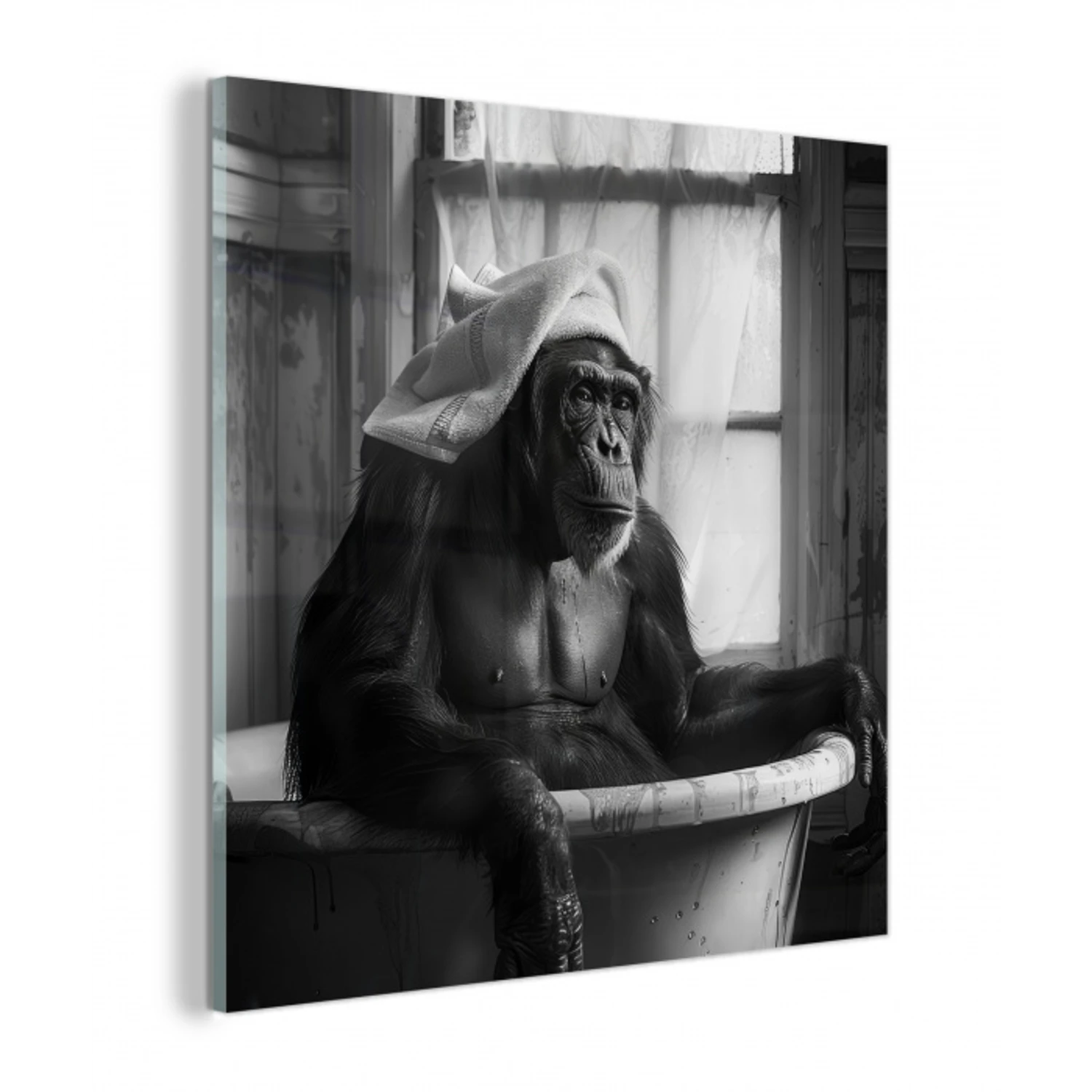 Aap - Dier - Bad - Zwart - Wit - Humor plexiglas 5mm klein -z3d