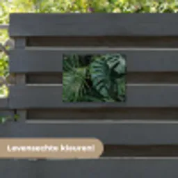 Planten - Jungle - Bladeren - Tropisch tuinposter los doek klein -sfeer3