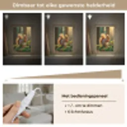 Eekhoorn - Nootje - Gras Light Box met kabel (Tafellamp) klein -USP_dimbaarNL