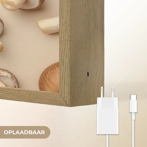 Kastanje Champignons - Beige Light Box met batterij (Wandlamp) middel -USP_websiteoplaadbaarNL