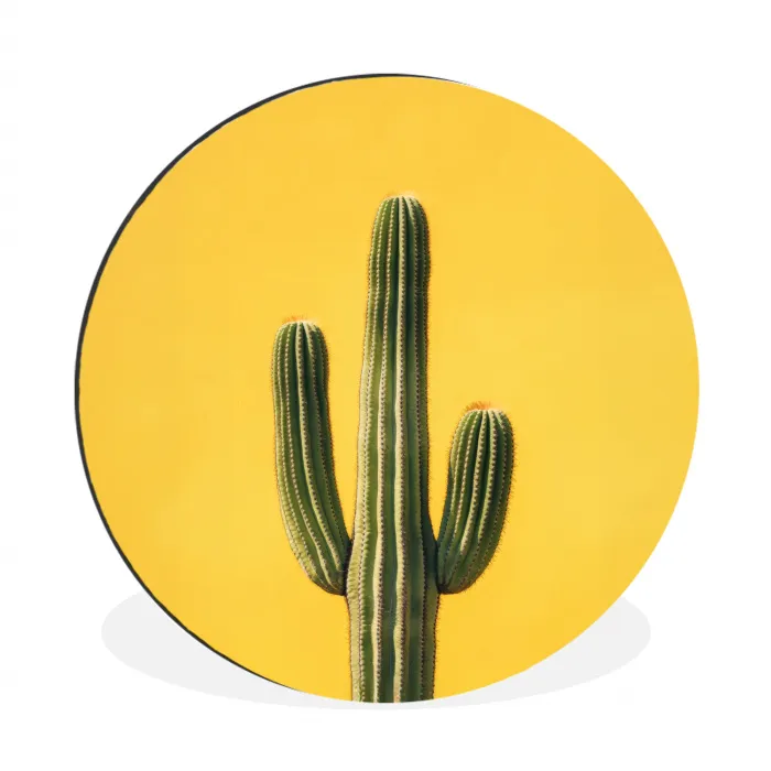 Cactus - Groen - Minimalistisch Wandcirkel aluminium klein -3d