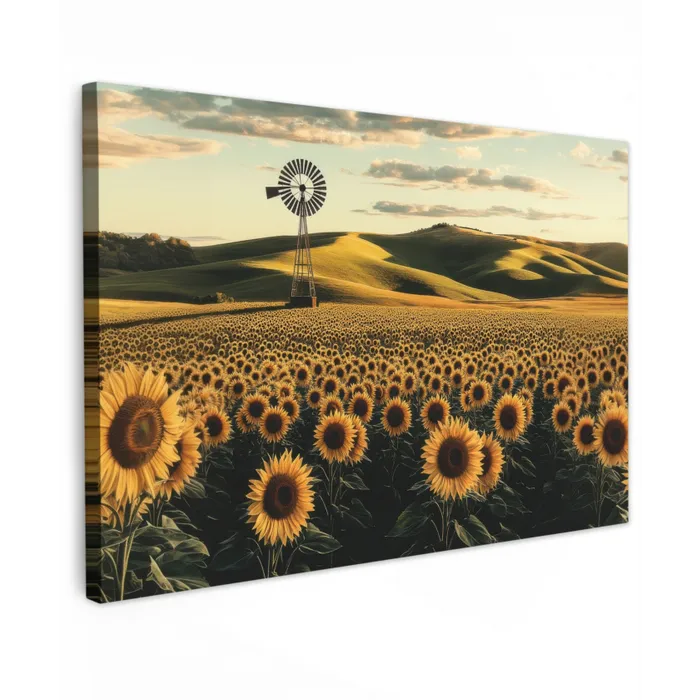 Zonnebloem - Veld - Windmolen canvas 2cm klein -z3d