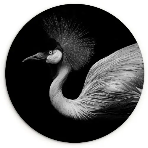 Kraanvogel - Zwart - Wit - Vogel - Dieren Wandcirkel kunststof plaat 5mm dik klein -3d