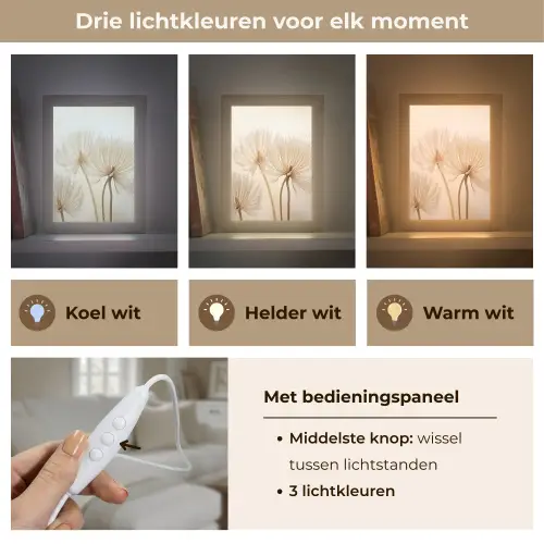 Bloemen - Beige - Natuur Light Box met kabel (Tafellamp) klein -USP_lichtkleurNL