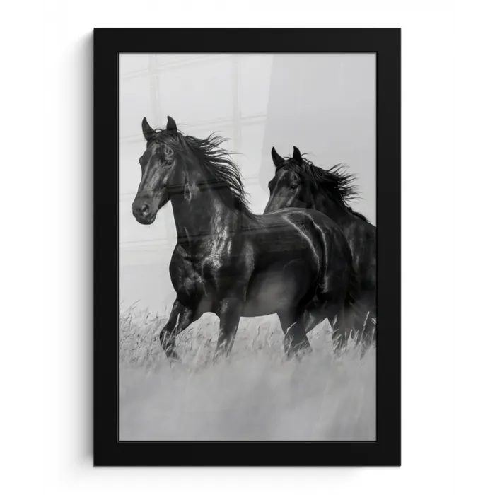Paarden - Gras - Zwart - Wit fotolijst zwart zonder passe partout klein -3d