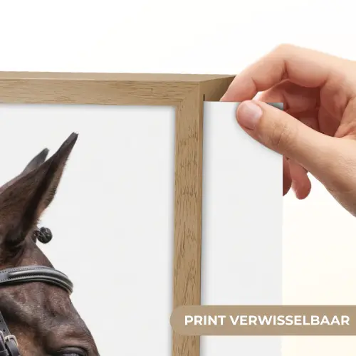 Portret - Paard - Elegant Light Box met batterij (Wandlamp) middel -USP_websiteprintNL