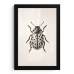 Kever - Insect - Vintage fotolijst zwart zonder passe partout klein -3d