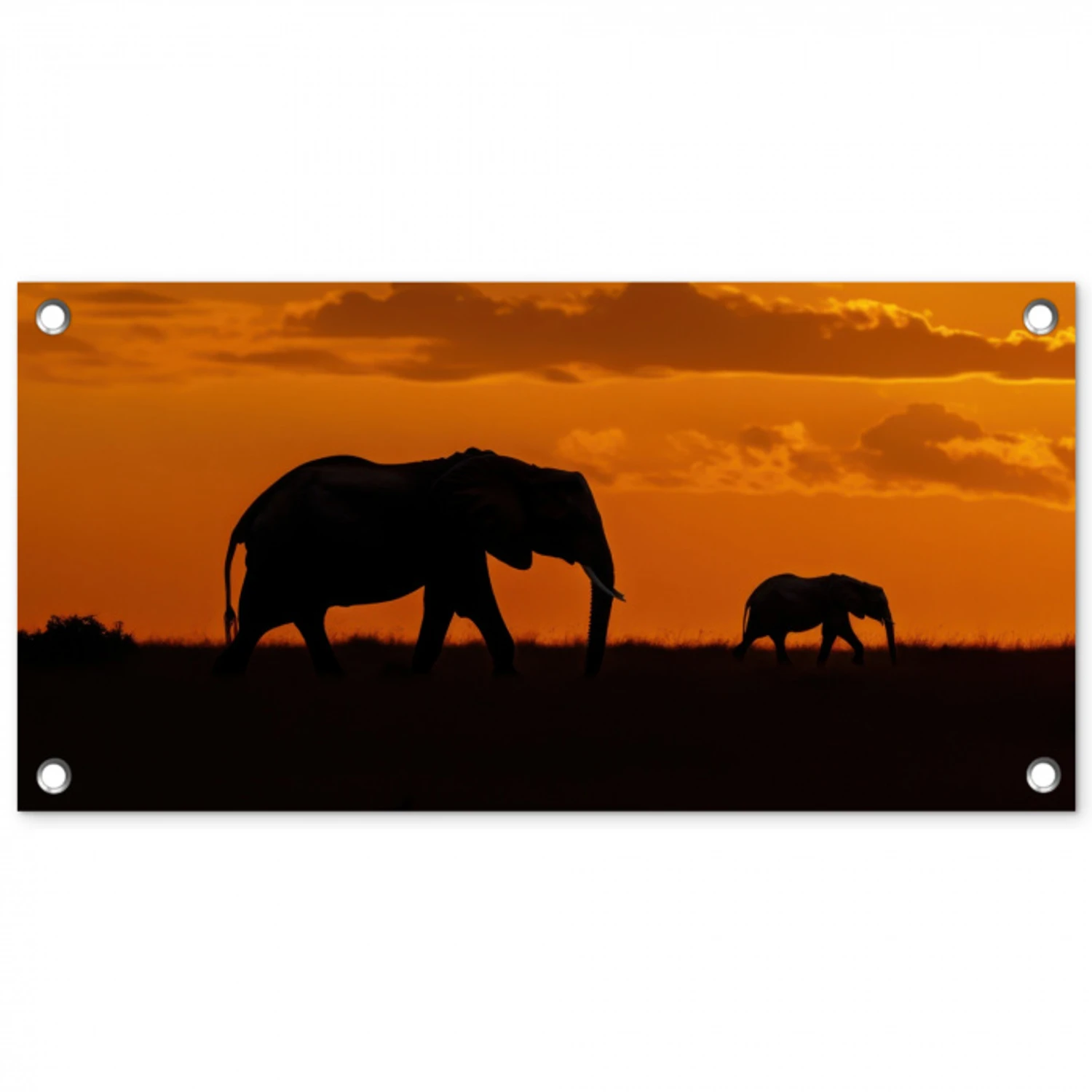 Olifanten - Savanne - Zonsondergang tuinposter los doek klein -3d