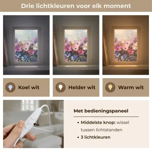 Bloemen - Kleurrijk - Bloei Light Box met kabel (Tafellamp) klein -USP_lichtkleurNL