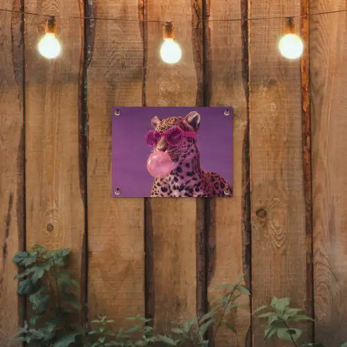 Panter - Zonnebril - Kauwgombel - Roze tuinposter los doek klein -sfeer1