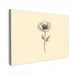 Klaproos - Illustratie - Zwart Tuinposter op houten frame 2 cm dik klein -3d