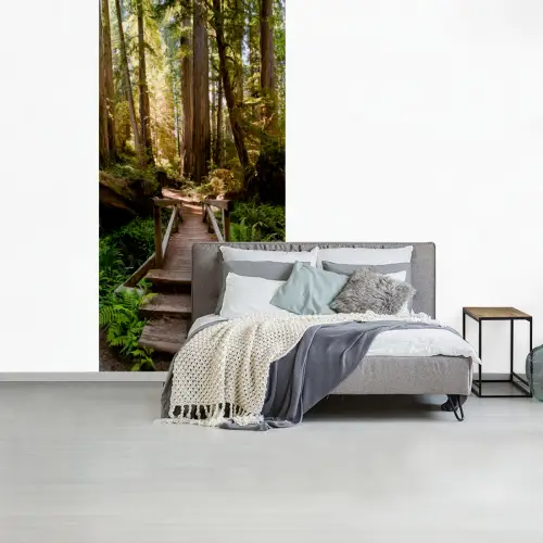 Jungle - Natuur - Trap - Bomen fotobehang vinyl groot -slaapkamer