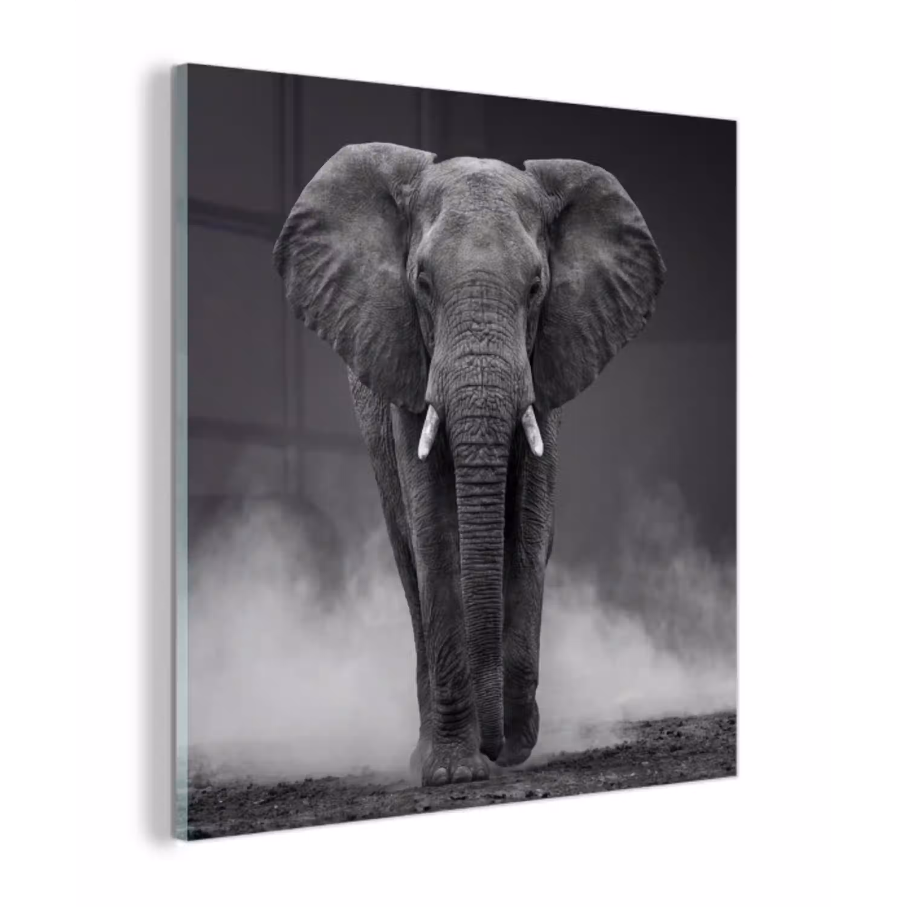 Olifant - Zwart - Wit - Rook plexiglas 5mm klein -z3d