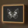 Vlinder - Grijs - Mysterieus Light Box met batterij (Wandlamp) middel -z3d_website
