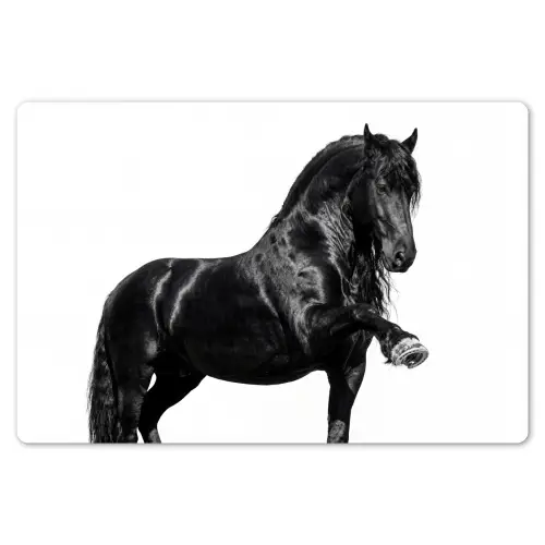 Fries - Hengst - Modern Placemat vinyl groot -zzsfeer1_Kitchenyeah-website