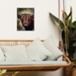 Majestueuze Hooglander in het Donker tuinposter los doek klein -sfeer7