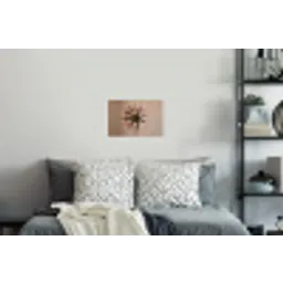 Droogbloem - Protea - Vintage - Beige - Rustiek Muursticker klein -slaapkamer