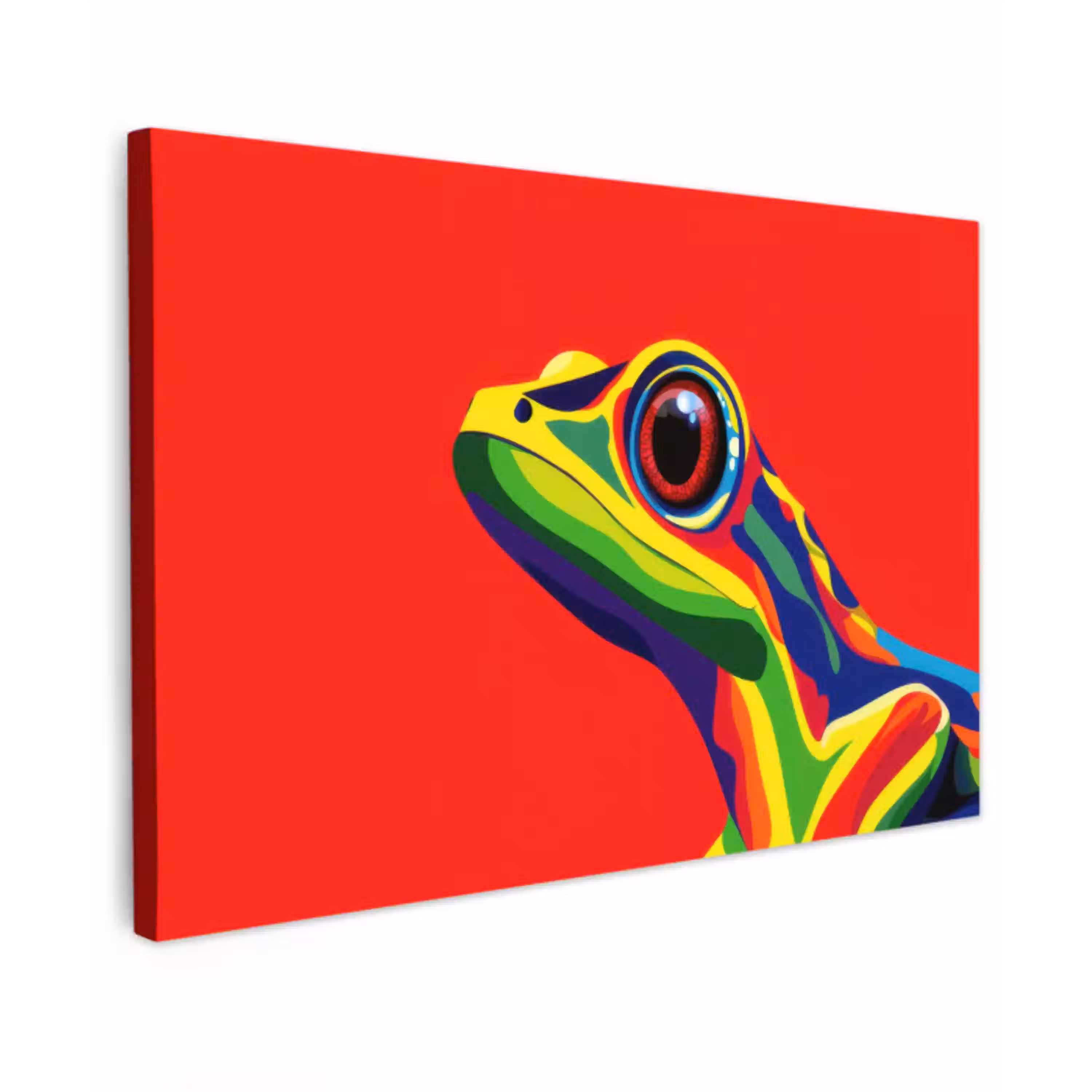 Kikker - Kleurrijk - Strepen - Ogen canvas 2cm klein -z3d