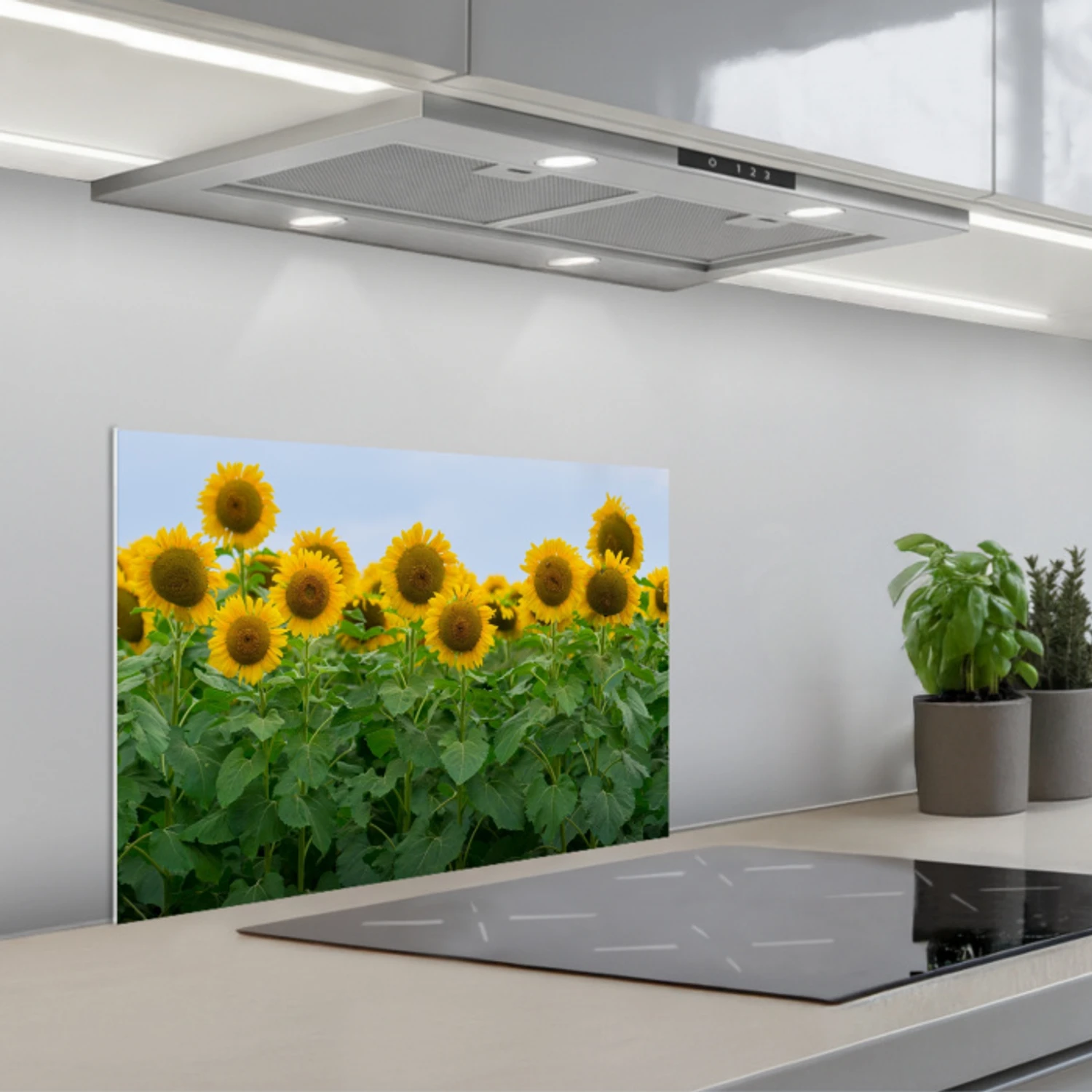 Zonnebloemen - Geel - Natuur keuken achterwand spatscherm klein -3d_schuin