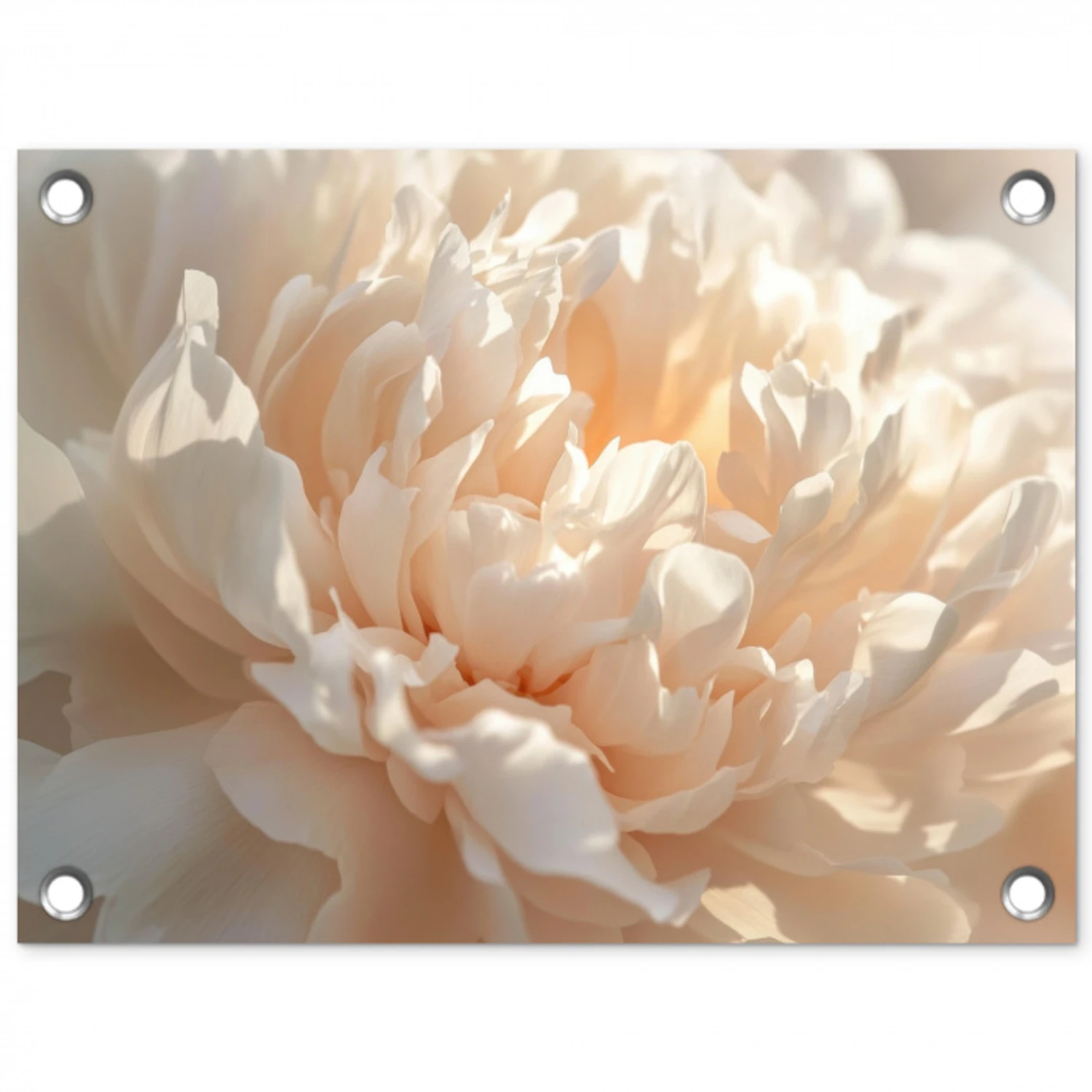 Close up - Pioenroos - Lichtroze tuinposter los doek klein -3d