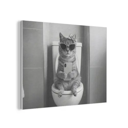 Kat - Telefoon - Toilet - Zwart - Wit PET vilt klein -3d