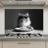Langharige kat - Zonnebril - Spaghetti - Humor - Zwart - wit keuken achterwand spatscherm klein -3d_website