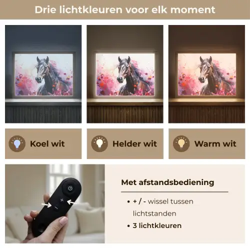Paard - Dieren - Meisje - Roze Light Box met batterij (Wandlamp kind) middel -USP_lichtkleurNL