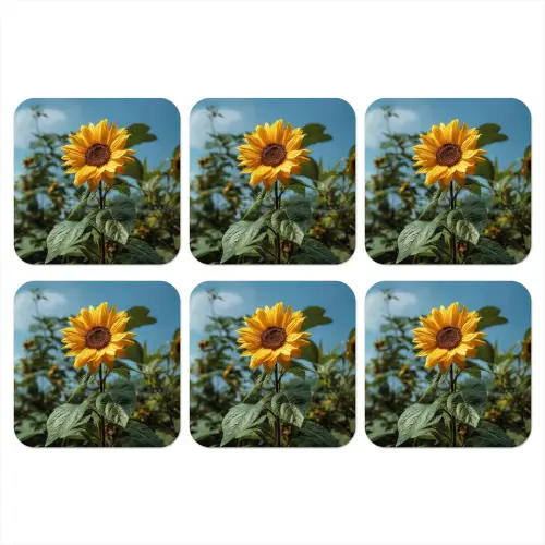 Zonnebloemen - Helderblauwer lucht - Gras onderzetter kurk middel -3d