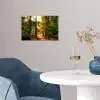 Bos - Pad - Bomen - Groen - Zon - Natuur poster papier klein -sfeer3