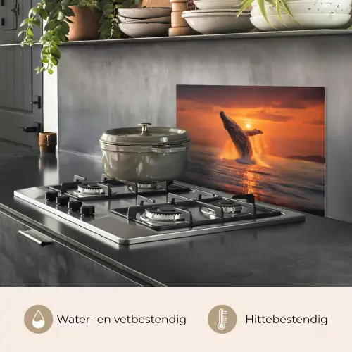 Walvis - Zon - Zee keuken achterwand spatscherm klein -usp_NL