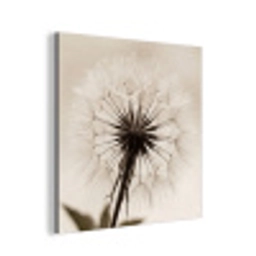 Paardenbloem - Minimalistisch - Wit aluminium wit klein -3d