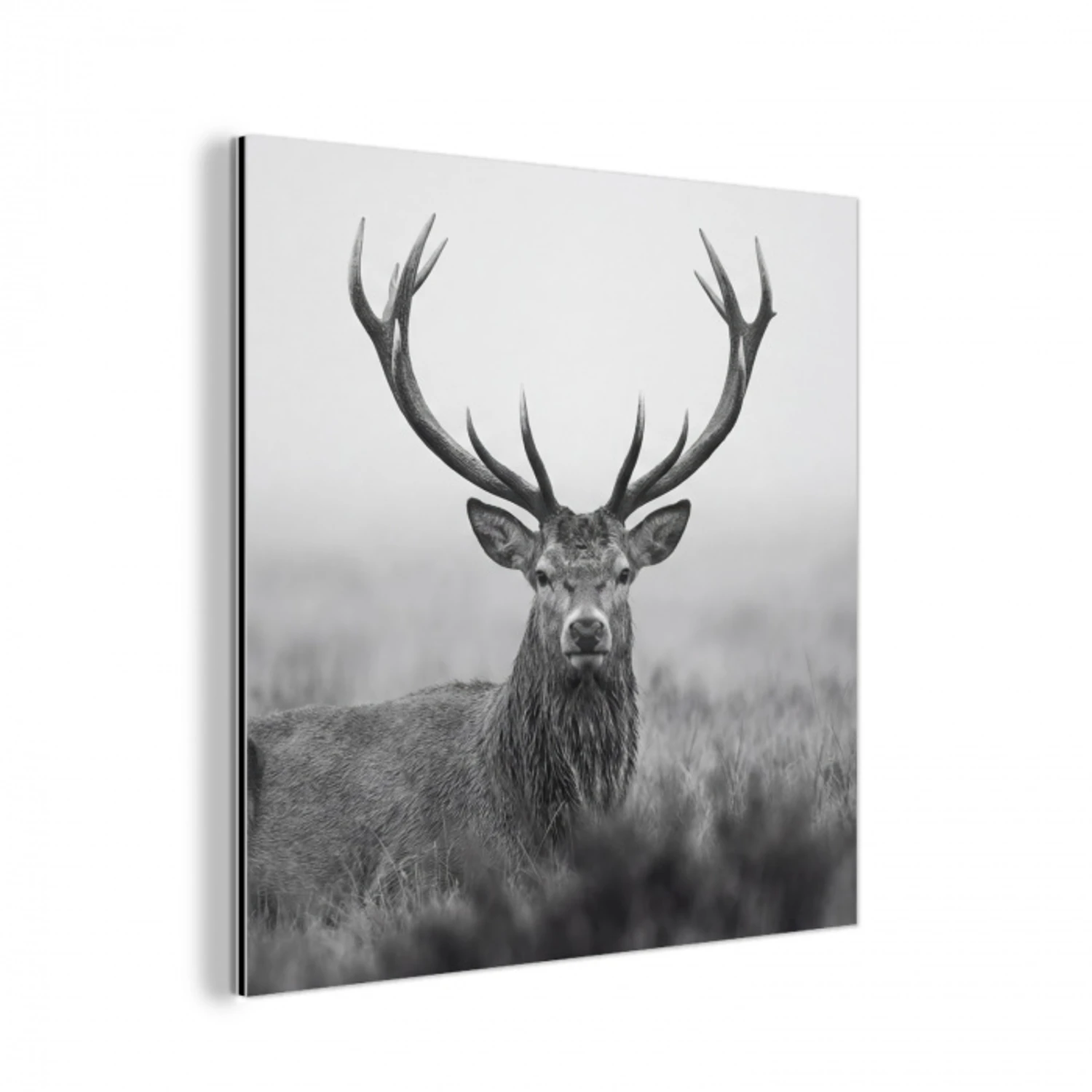 Hert - Mistig - Zwart - Wit aluminium wit klein -3d