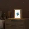 Zeester - Blauw - Spetters Light Box met kabel klein -sfeer1_kind