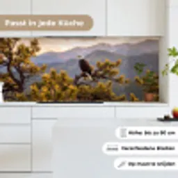 Zeearend - Boom - Bergen - Groen keuken achterwand 2 middel -sfeer4_DE