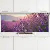 Lavendel - Paars - Zonlicht keuken achterwand 2 middel -3d