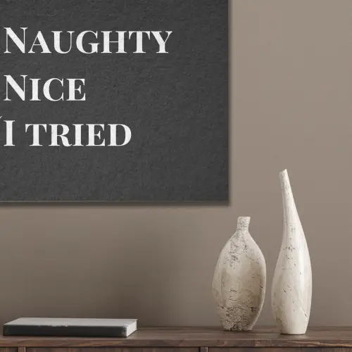 Kerst - Zwart - Wit - Quote - Grappig PET vilt klein -sfeer6_closeup