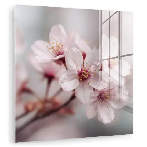 Bloesems - Meeldraden - Geel - Wazig plexiglas 5mm klein -zzzproduct_nieuw