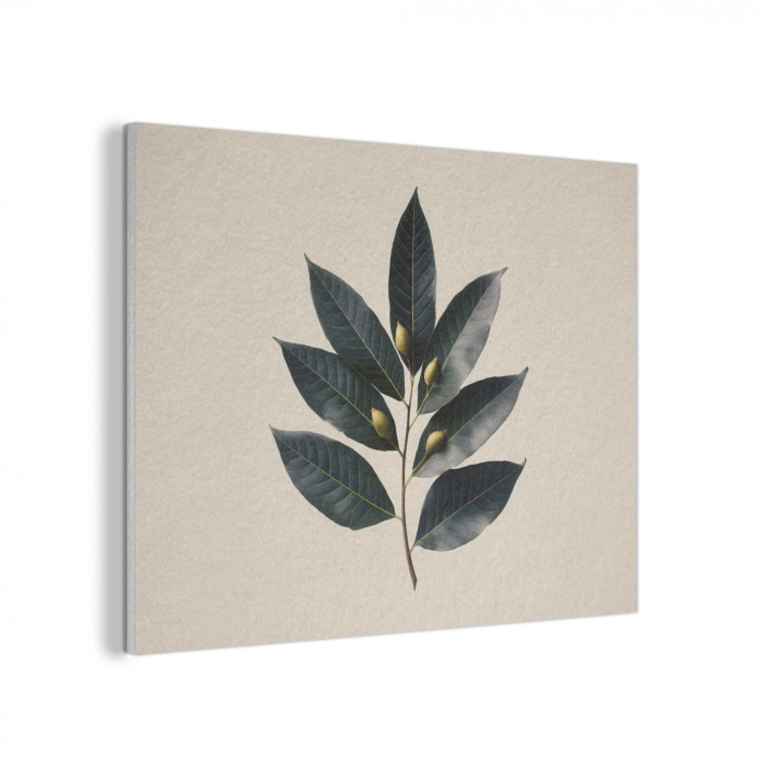 Laurierbladeren - Bloemknoppen - subtiel PET vilt klein -3d