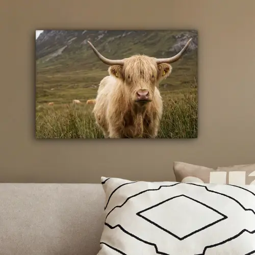 Schotse hooglander - Bergen - Grasveld canvas 2cm klein -sfeer3