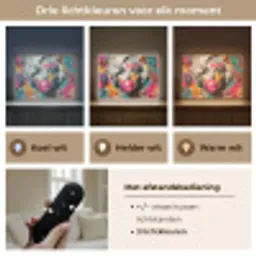 Vrouw - Kauwgom - Graffiti - Neonkleuren Light Box met batterij (Wandlamp) middel -USP_lichtkleurNL