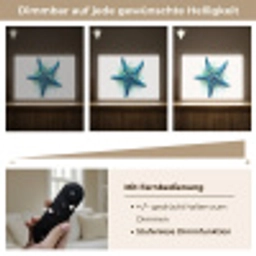 Zeester - Blauw - Spetters Light Box met batterij (Wandlamp) middel -USP_dimbaarDE