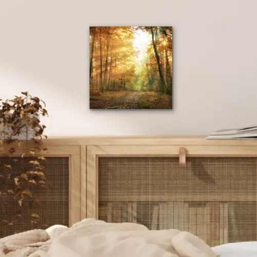 Bos - Herfst - Zon - Landschap - Natuur - Bomen - Bladeren aluminium wit klein -sfeer3