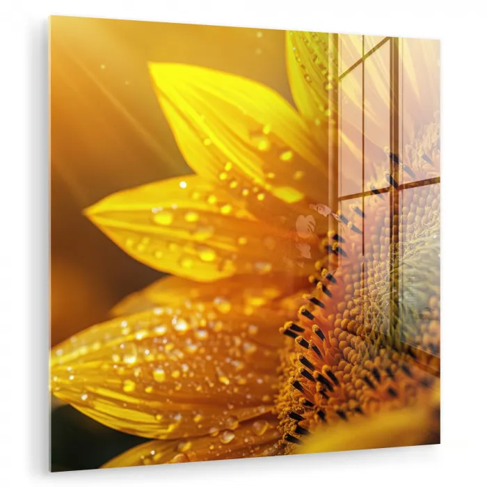 Zonnebloem - Dauwdruppels - Geel - Zonlicht plexiglas 5mm klein -zzzproduct_nieuw