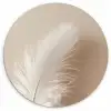 Veer - Minimalistisch - Roze Wandcirkel kunststof plaat 5mm dik klein -3d