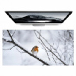Roodborstje - Tak - Sneeuw - Winter - Levendig Muismat XXL klein -zzz3d