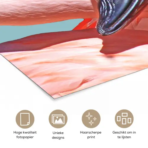 Close-up flamingo poster papier klein -closeup_NL