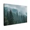 Naaldwoud - Bergen - Mist Tuinposter op houten frame 2 cm dik klein -3d