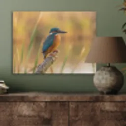 IJsvogel - Tak - Water - Kleurrijk - Levendig PET vilt klein -sfeer2